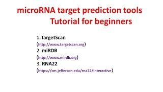 miRNA target prediction tools tutorial  Targetscan  miRDB  RNA22