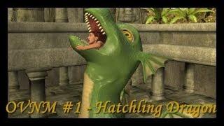 OVNM #1 - Hatchling Dragon