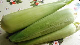 Boiled corn with salt