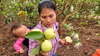 20 working days - Use bamboo to make ceilings pick fruit to sell and decorate fish ponds.