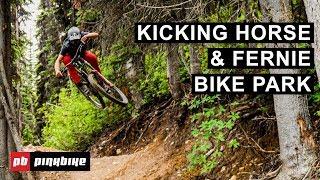 Exploring Kicking Horse & Fernie Bike Park  BC Bike Parks Road Trip w The Free Radicals