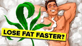 Effects of Weed on Losing Fat  The Workout Show