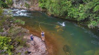 This River is Incredible Big Fish Everywhere.