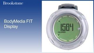 BodyMedia FIT Display