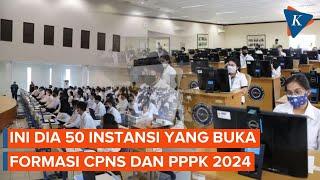 50 Instansi yang Buka Formasi CPNS dan PPPK 2024 Mana Saja?