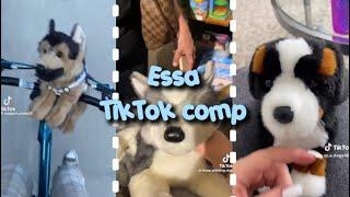 ESSA TikTok Comp  