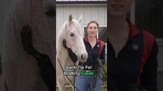 How To Bridle A Horse