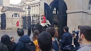 Kings Guard horse farts in front of tourist making them laugh       #horseguardsparade