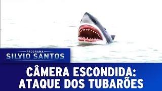 Câmera Escondida 010516 - Ataque dos Tubarões