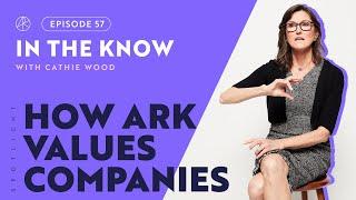 ITK with Cathie Wood  How ARK Values Companies