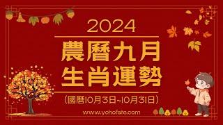 2024甲辰龍年｜農曆九月（103-1031）｜生肖運勢月報｜雨揚樂活家族