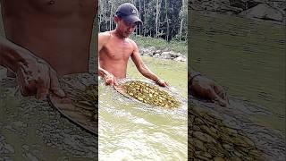 Kaya Mendadak Menemukan Harta Karunmenambang emas di aliran sungai #goldhunter #videos #gold