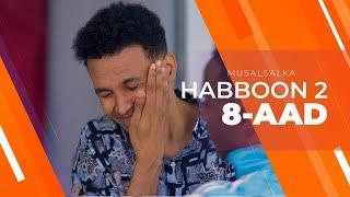 HABBOON S2 XALQADA 8-AAD  IISHEG HABBON MEESHA AAD GEESAY