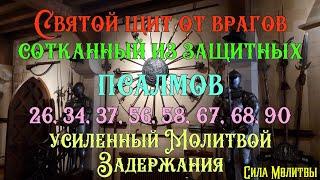  Святой щит от врагов из защитных псалмов усиленный Молитвой Задержания #православие #псалмы