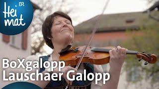 BoXgalopp Lauschaer Galopp  Musi & Gsang  BR Heimat - die beste Volksmusik