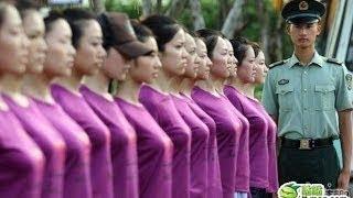 믿기 어렵겠지만 영상에 나오는 중국 여군키 전부 178cm