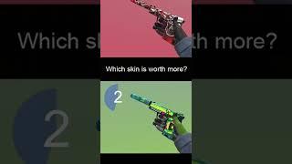 Which USP-S is worth more?  #csgo #skins #csgoskins #csgoskin