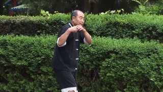 Pushing Hands - Tuishou - Wushu Master Mu Yuchun in action
