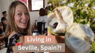 Living in Seville Spain?  Is it worth it? 