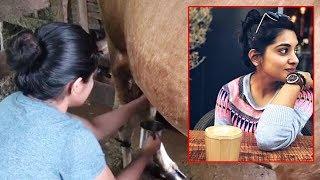 Actress Nivetha Thomas Taking Milk From Cow @ Kerala  ZUP TV