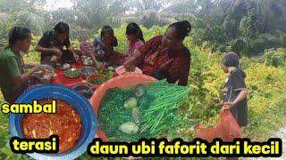 MEMASAK PRAKTIS REBUS DAUN SINGKONG+ SAMBAL TERASI FAVORITE SATU KELUARGA