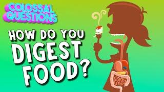 How Do You Digest Food?  COLOSSAL QUESTIONS