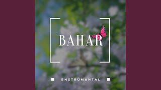 Bahar