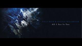 Cold Blue & Nicole Willerton - All I See Is You Lyric Video