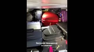 Как загружают чемоданы в самолет. Чемоданы в багажном отсеке