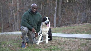 EXCLUSIVE INTERVIEW - JOE CHURCH - N.W.A. CANE CORSO - CENTRAL ASIAN SHEPHERD