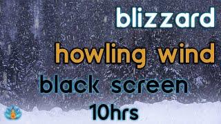 Black Screen Snowstorm Howling Wind Blizzard and Snow Sounds for Sleep  Study  Relax  10Hrs