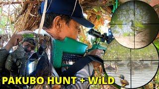 P1 -  PAKUBO HUNTING + WiLD  catch& cook with X HUNTER PH