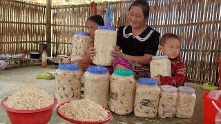 BAPTUNA GROWS Filling the Rainforest with No One Taking the Bamboo Shoots to make Sour Bamboo Shoots