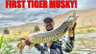 Insane River Multi Species Fishing in Utah TroutRiver Musky