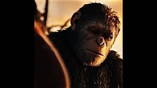 Caeser Death Scene Edit #planetoftheapes #dawnoftheplanetoftheapes #waroftheplantoftheapes #caeser