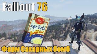 Fallout 76. Фармим сахарные бомбы. Маршрут на 24 год. 40 локаций