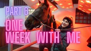 PFERD ZU DÜNNSo können wir ihn nicht auf YouTube zeigen One Week With Me #6