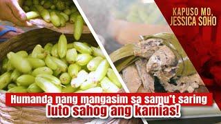 Humanda nang mangasim sa samu’t saring luto sahog ang kamias  Kapuso Mo Jessica Soho