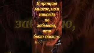 Я помню тех кто подставил подножку. И когда я встаю от Высших сил летят бумеранги за меня 🪃