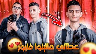 متابع عطاني كلب المالينوا فابور أجي تشوفو  علاش 