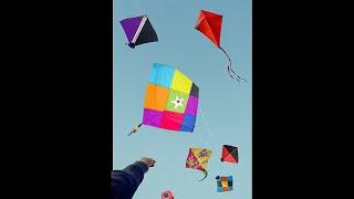 Kite catching। kite fighting। kite looting