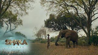 Face to face with an elephant – Shaka iLembe  S1  Ep 6  Mzansi Magic