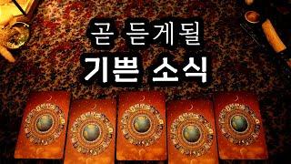 타로 곧 듣게 될 기쁜 소식