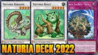 【YGOPRO】 NATURIA DECK 2022