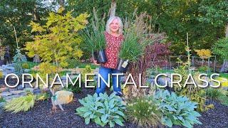 10 Perrenial Grasses Ornamental Grass for your Garden Year Round Interest Low Maintenance Privacy