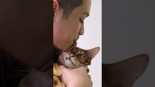 Fake Tongue Prank On Bengal Cat #funnycatvideos #catmemes