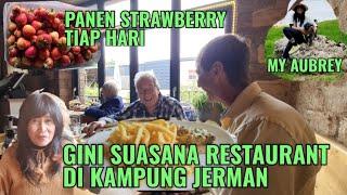 RESTAURANT  DI KAMPUNG KAMI TINGGAL DULU  FULL SELALU METIK STRAWBERRY DI KEBUN SENDIRI