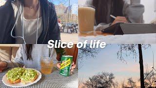 Slice of life a productive week petting my cat for the first time work and life balance  vlog