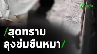 สุดทราม ชายวัย 60 ปี มีเพศสัมพันธุ์กับสุนัข  21-05-63  ข่าวเช้าหัวเขียว