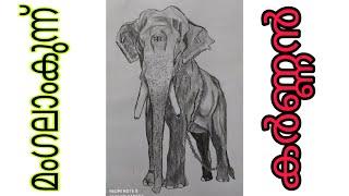 Mangalamkunnu karnnan drawingDrawing elephant